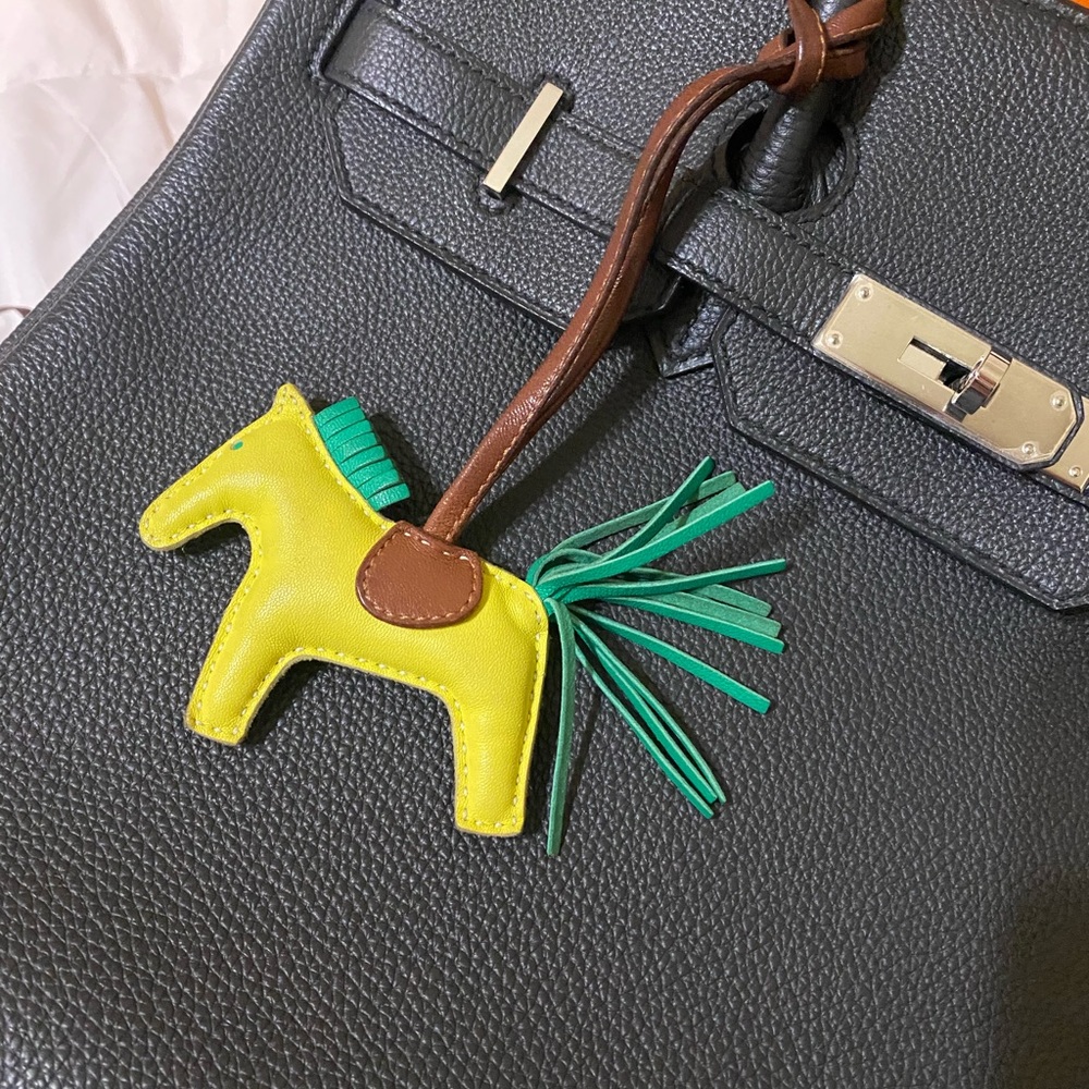 RARE YELLOW HERMÈS
Milo GriGri Rodeo Bag Charm pm - Picture 4 of 16